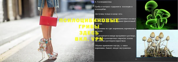МДПВ Касимов