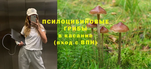 мет Карталы