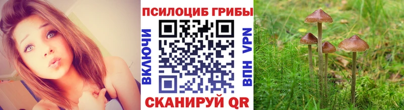 Купить закладки  Избербаш  Псилоцибиновые грибы ЛСД 